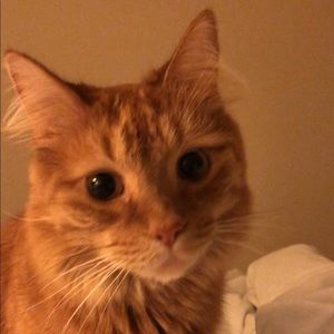 Meet your Posher, Ali